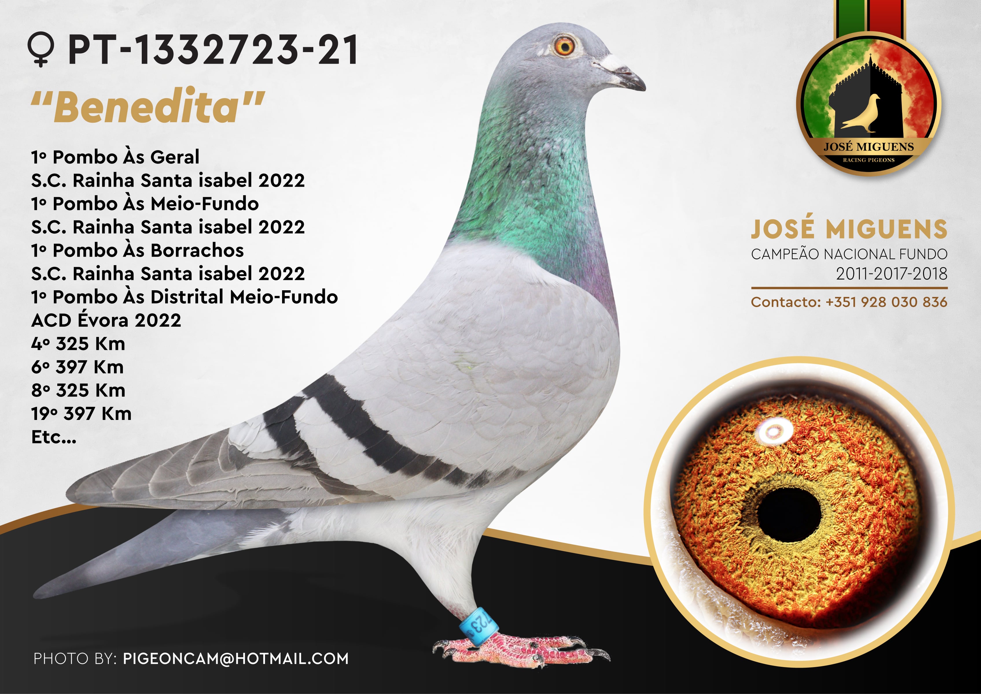 829e0c81-bd45-4bf8-b0a5-8ec0a8711235.jpg