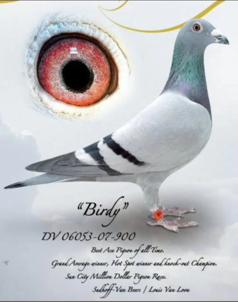 Historia da Birdy