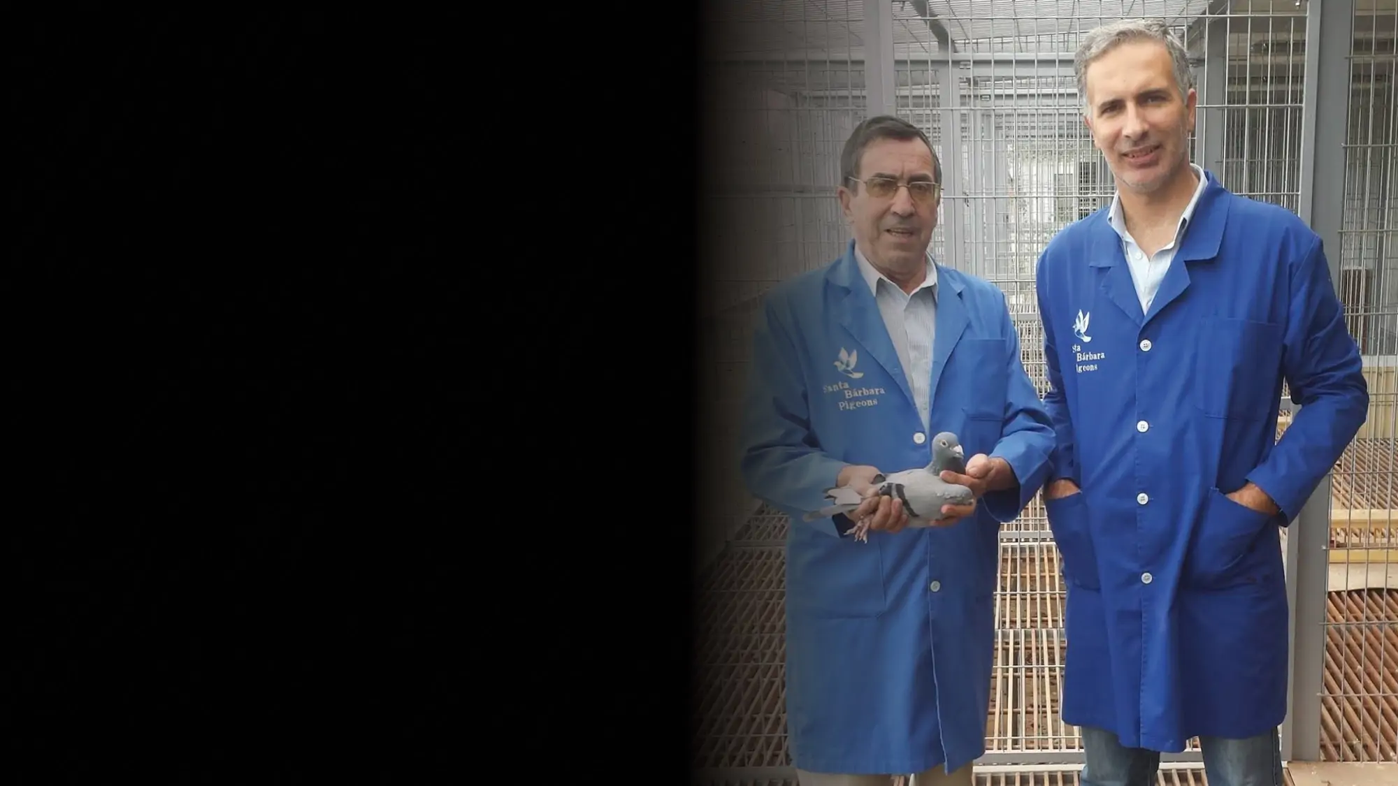 <p><span style="color: #ffffff;">Santa B&aacute;rbara</span></p><p><span style="color: #ffffff;">Pigeons</span></p>