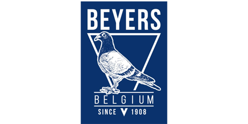 Beyers Pigeons