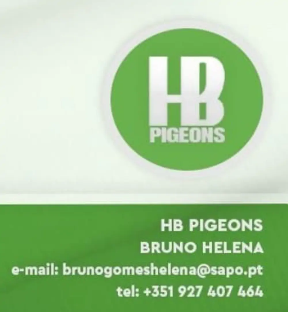 HB Pigeons 