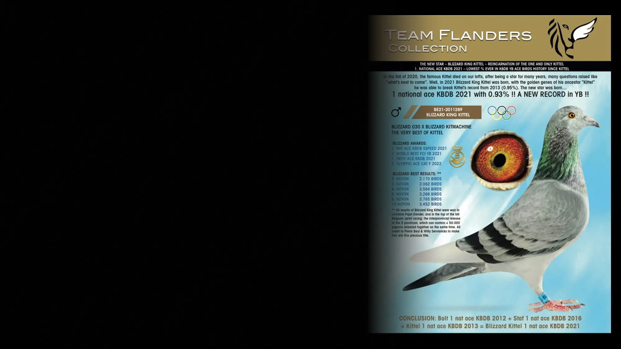 <p><span style="color: #ffffff;">Especial Flanders Collection</span></p>