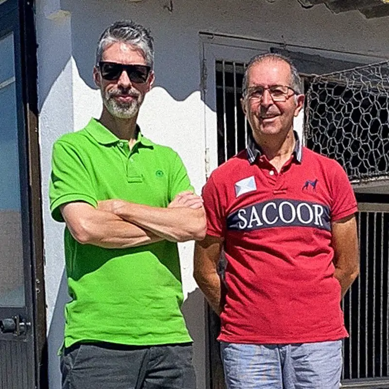 Carvalho & Figueiredo
