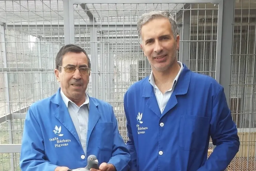 Santa Bárbara Pigeons