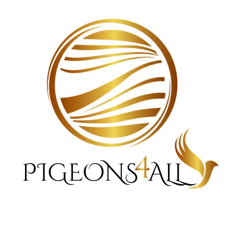 Especial Figo e Van Loon por Pigeons4all