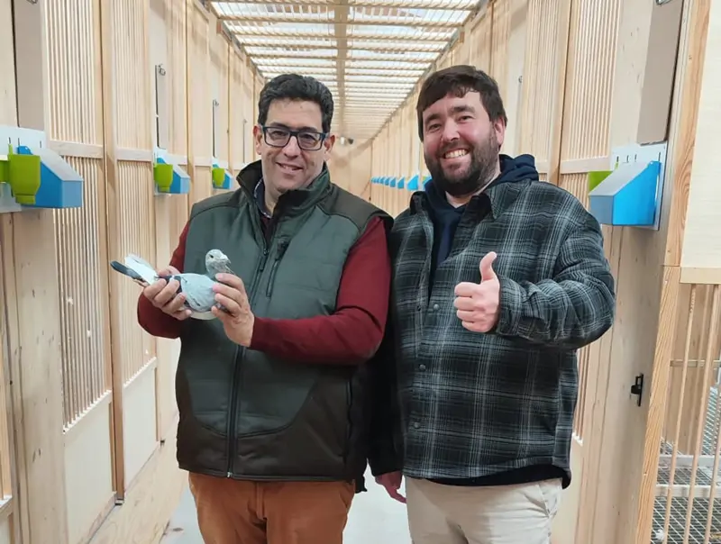 Especial Flanders Collection