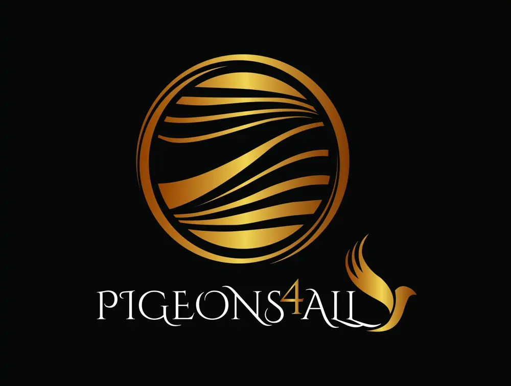 Especial Pigeons4all