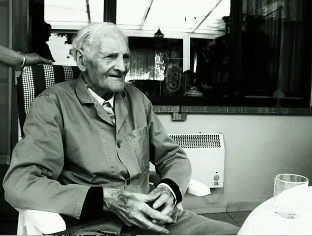 Linhagem Van Loon By Pigeons4all 2