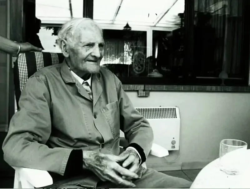 Linhagem Van Loon By Pigeons4all 2