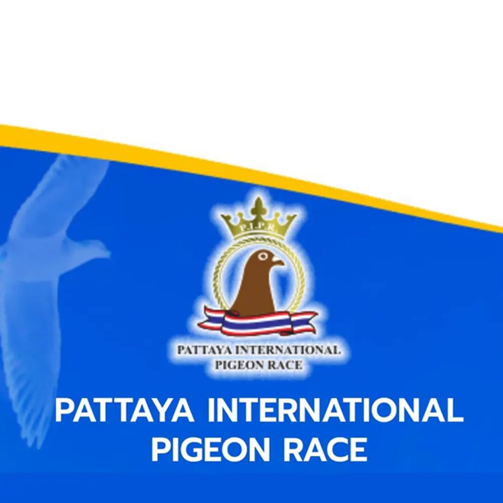 Pattaya One Loft Race