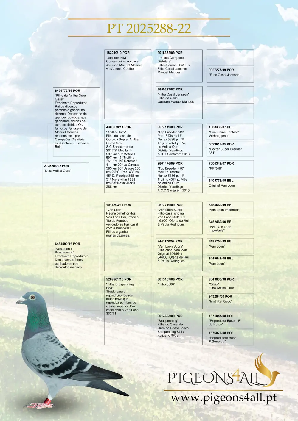 PT 2025288/22