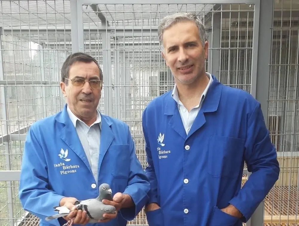 SANTA BÁRBARA - Linhagem Leo e Van Den Bulck