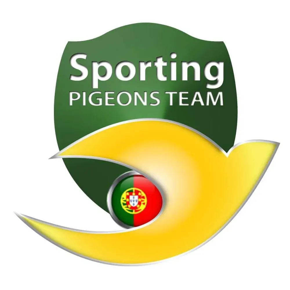 Sporting Pigeons Team