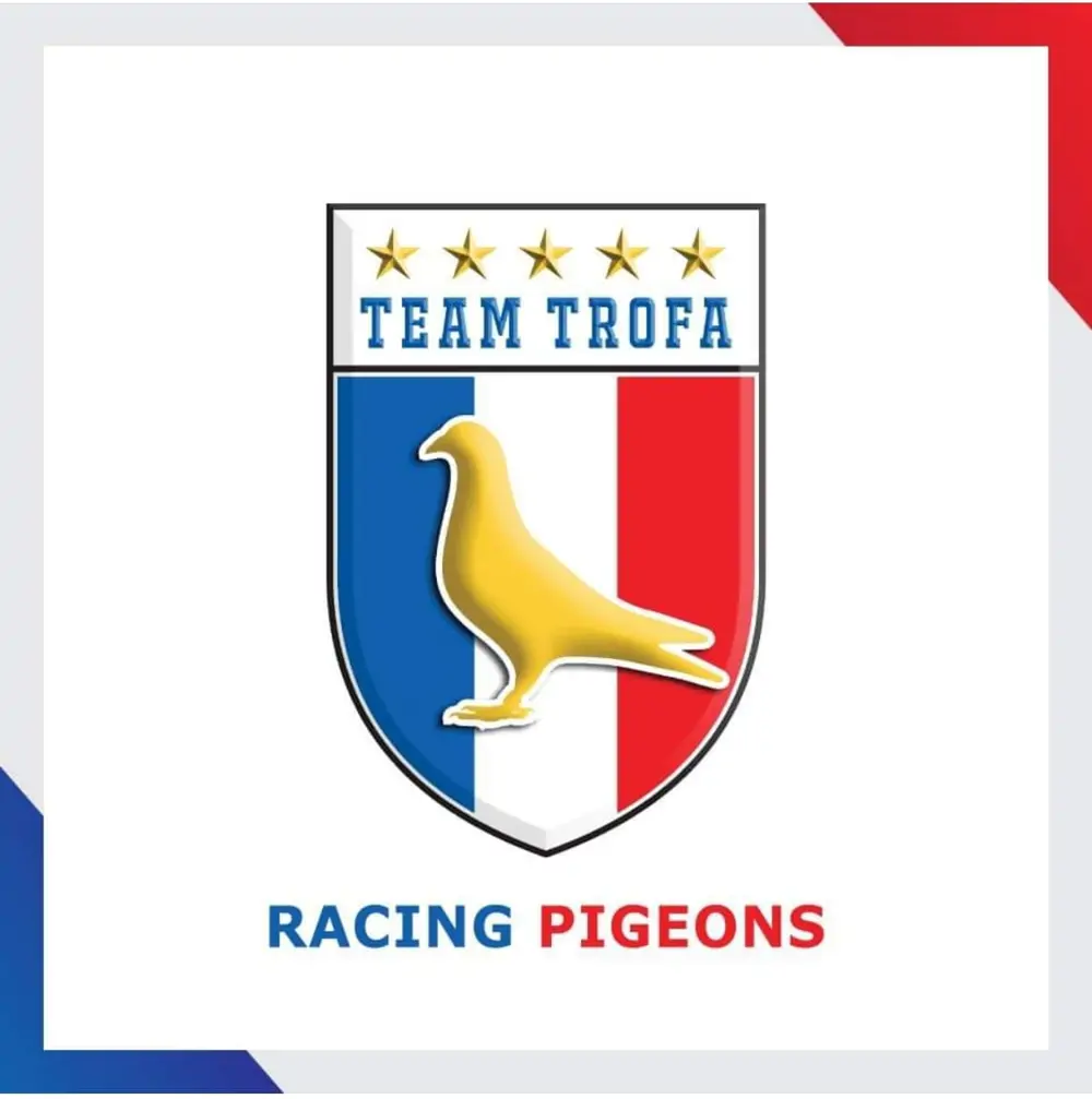 Team Trofa