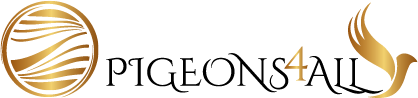 Pigeons4all