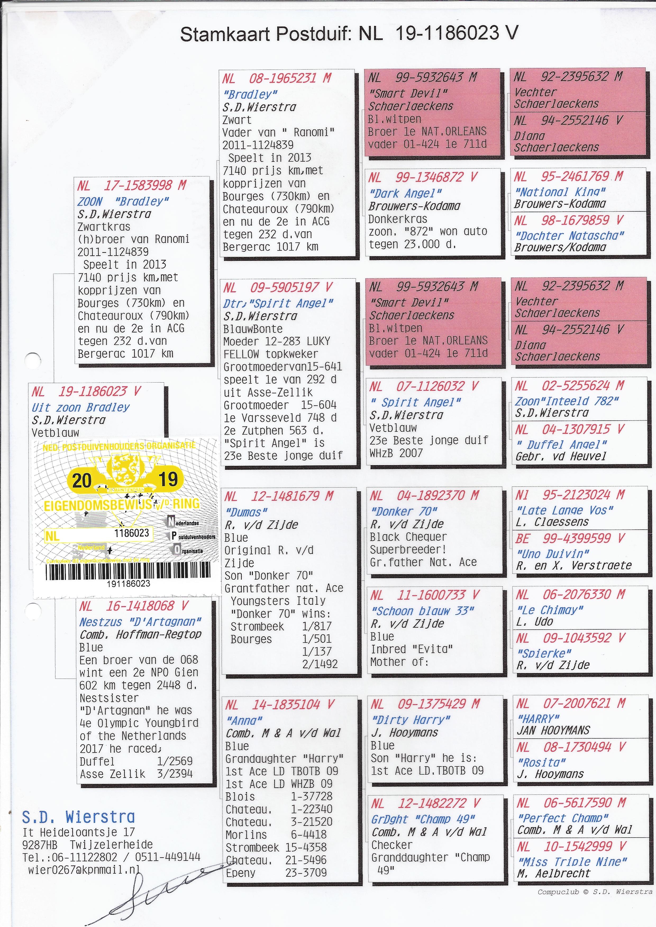 NL19/1186023